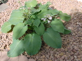 Enlarge photo 34