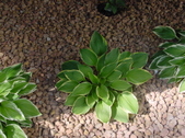 Enlarge photo 35