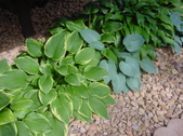 Enlarge photo 37