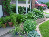 Enlarge photo 42