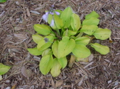 Enlarge photo 22