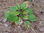 Enlarge photo 23