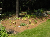 Enlarge photo 9