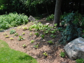 Enlarge photo 11