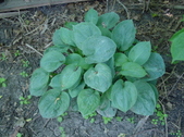 Enlarge photo 18