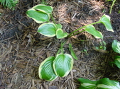 Enlarge photo 20