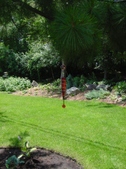 Enlarge photo 24