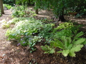 Enlarge photo 14