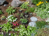 Enlarge photo 19
