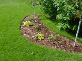 Enlarge photo 26
