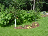 Enlarge photo 27