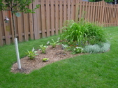 Enlarge photo 6