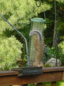 Enlarge photo 57