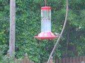 Enlarge photo 119