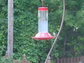 Enlarge photo 120