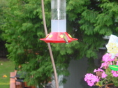 Enlarge photo 146