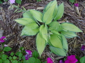 Enlarge photo 126
