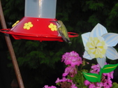Enlarge photo 151