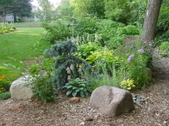 Enlarge photo 97