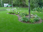 Enlarge photo 157