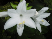 Enlarge photo 53