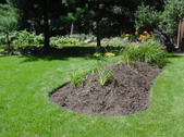 Enlarge photo 91
