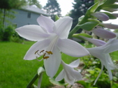 Enlarge photo 169