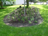 Enlarge photo 2