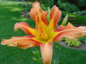 Enlarge photo 114