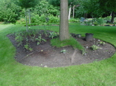 Enlarge photo 3