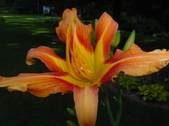 Enlarge photo 115