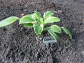 Enlarge photo 7