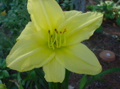 Enlarge photo 116