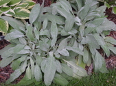 Enlarge photo 106
