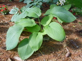 Enlarge photo 4