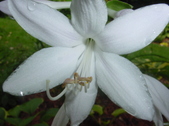 Enlarge photo 47