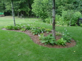Enlarge photo 51