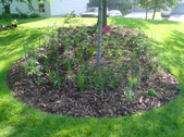 Enlarge photo 24