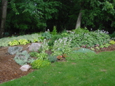Enlarge photo 53