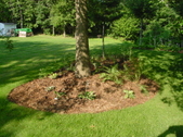Enlarge photo 25