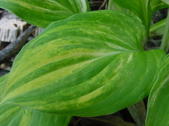 Enlarge photo 33