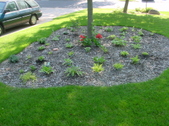 Enlarge photo 23