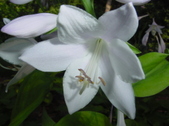 Enlarge photo 34
