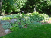 Enlarge photo 31