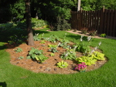Enlarge photo 28