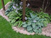 Enlarge photo 111