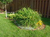 Enlarge photo 29