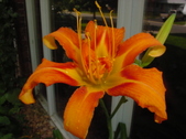 Enlarge photo 39