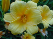 Enlarge photo 122