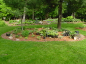 Enlarge photo 5